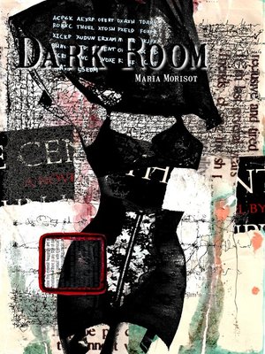 cover image of Dark Room